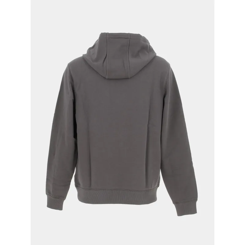 Sweat à capuche daratschi gris anthracite homme - Hugo | wimod