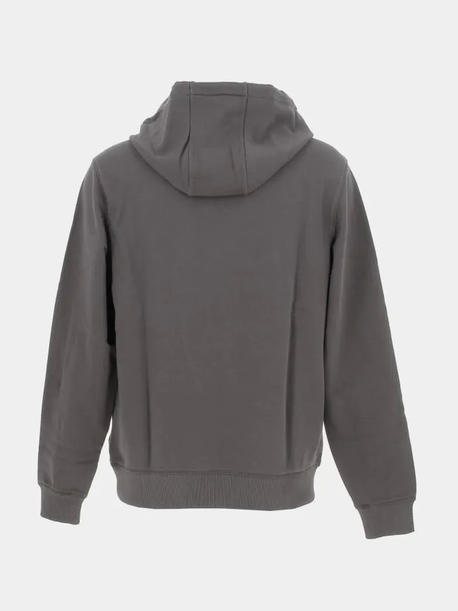 Sweat à capuche daratschi gris anthracite homme - Hugo | wimod