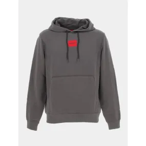 Sweat à capuche daratschi gris anthracite homme - Hugo | wimod